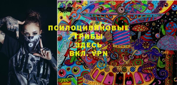 ПСИЛОЦИБИНОВЫЕ ГРИБЫ Армянск
