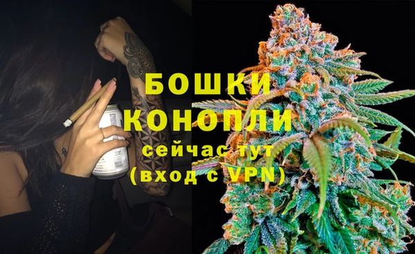 ПСИЛОЦИБИНОВЫЕ ГРИБЫ Армянск