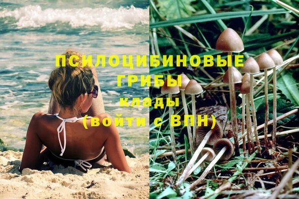 ПСИЛОЦИБИНОВЫЕ ГРИБЫ Армянск