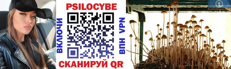 Псилоцибиновые грибы мухоморы  Новая Ладога 